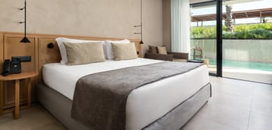 Deluxe Room with Swim Up Pool