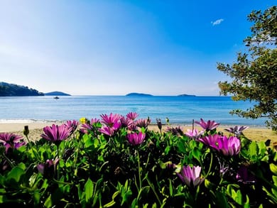 Ammos Skiathos - Image 2