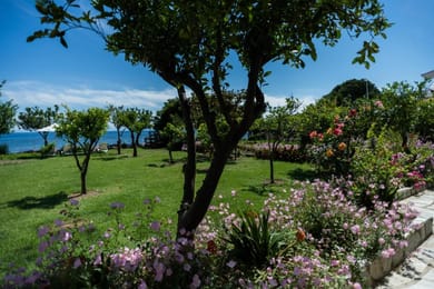 Ammos Skiathos - Image 4