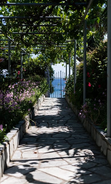 Ammos Skiathos - Image 7