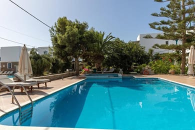 Ampelos Prokopios - Image 3