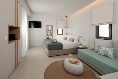 Luxury Suite