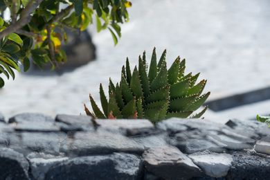 Anchor Suites Santorini - Image 2
