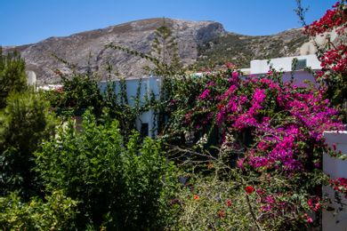 Andreas Hotel Santorini - Image 3