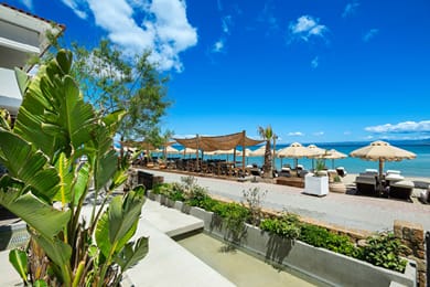 Adriana Beach - Image 4