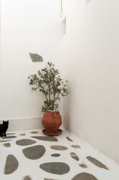 Andriani's Guest House - Image 6