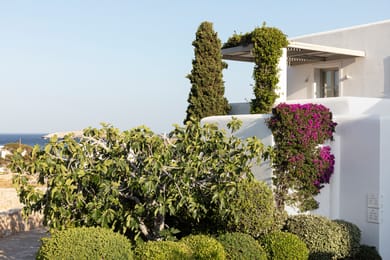 ANEMI Folegandros - Image 3