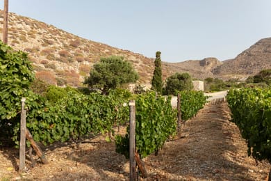 ANEMI Folegandros - Image 5