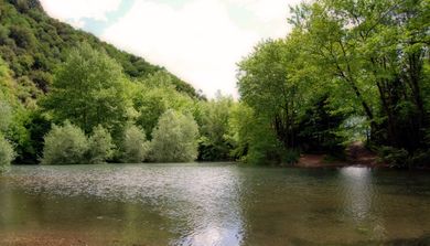 Anerada Inn Luxury Suites & Spa – Pet Friendly - Image 2