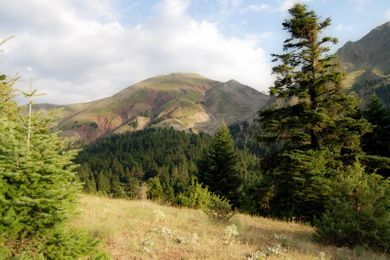 Anerada Inn Luxury Suites & Spa – Pet Friendly - Image 3