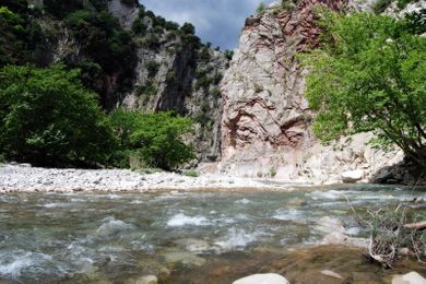 Anerada Inn Luxury Suites & Spa – Pet Friendly - Image 5