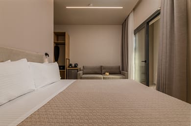 Anẽse Budget Room
