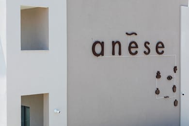 Anese Vacation Feelings - Image 2