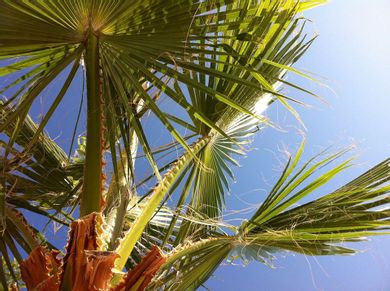 Angela Suites Boutique Hotel - Image 3