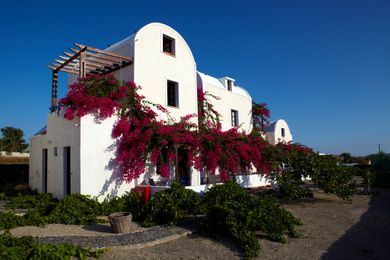 Anna Traditional Apartments Santorini - Image 6