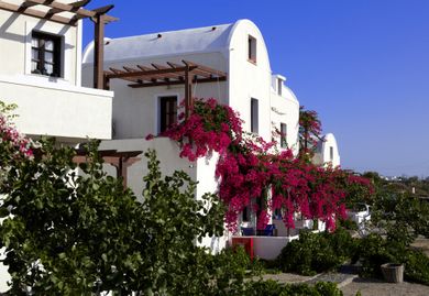 Anna Traditional Apartments Santorini - Image 2