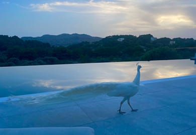 Ano Kampos Hotel  Rhodes - Image 5