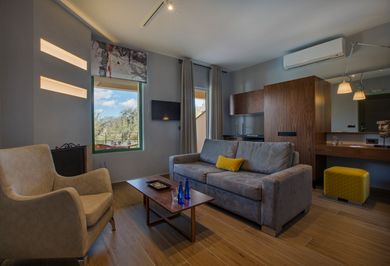 Anthemion Suites & Villas - Image 4