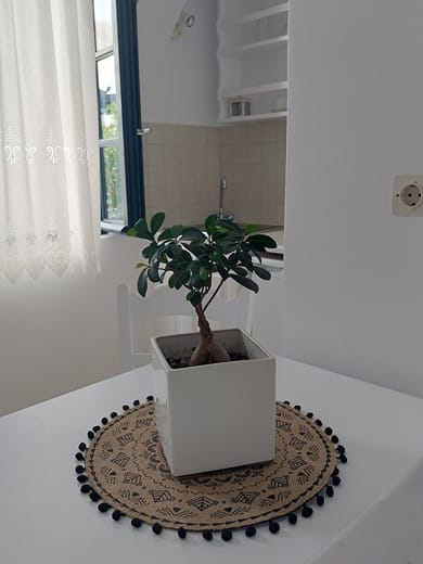 Anthonas Apartments - Image 6