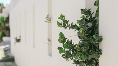 Apeiron Blue Perissa Apartments - Image 3