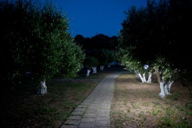 Aphrodite Samos Suites - Image 7