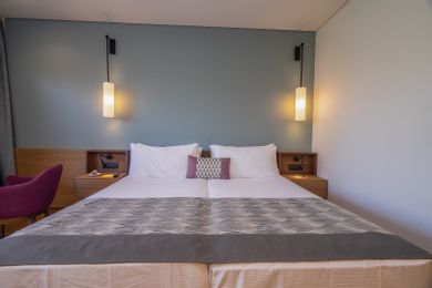 Premium Family Asterias