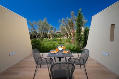 Premium Family Asterias