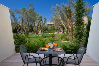 Premium Family Asterias