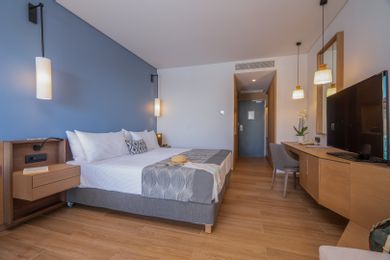 Junior Suite with Pool | ASTERIAS