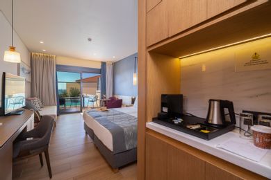 Junior Suite with Pool | ASTERIAS