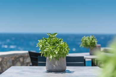 Apollo Resort - Image 4