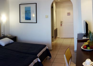 Double or Twin Room Garden View