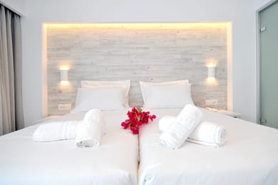 Deluxe Double Room Garden View