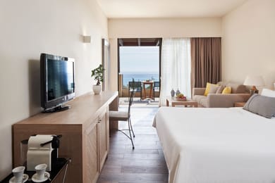 Premium Guestroom