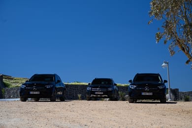 Arany Terra - Image 2