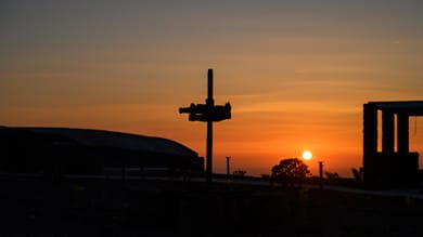 Arany Terra - Image 6