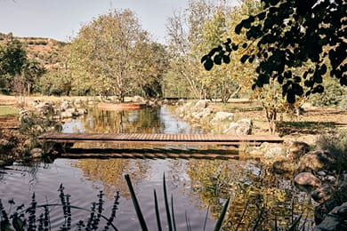 Area Synest Nature Suites - Image 6