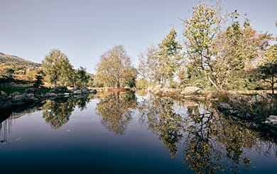 Area Synest Nature Suites - Image 2