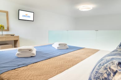 Loft Suite with terrace