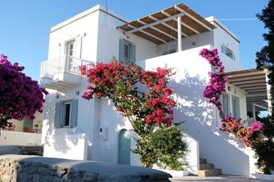 Ark Tinos - Image 2