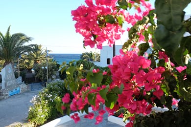Ark Tinos - Image 3