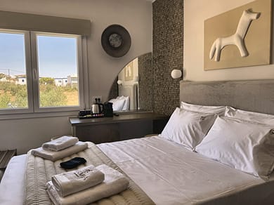 Economy Double Room with Garden View – No Balcony