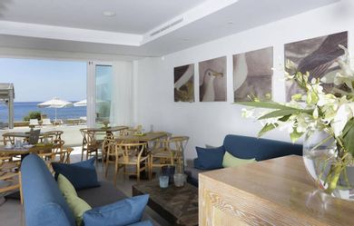 Artina Nuovo - Image 4