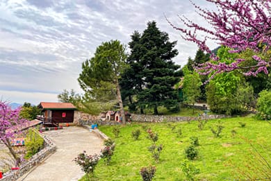 Aselinos Forest Estate - Image 3