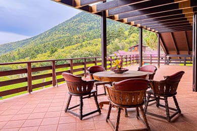 Aselinos Forest Estate - Image 4