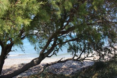 Asterias Bay Hotel - Image 5