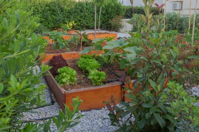 Astir Studios - Image 5