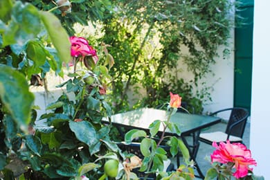 Astypalea Villas - Image 4
