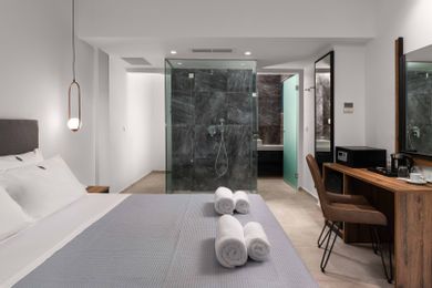 Concept Room with Garden View