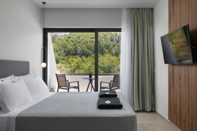Deluxe Room with Mountain or Garden View